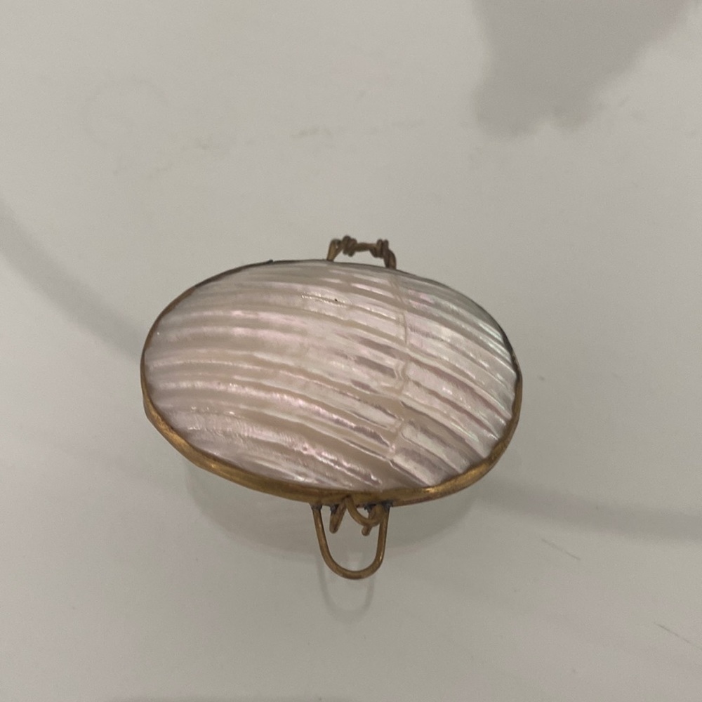Pearl shell case